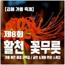 난타(야간) | [김해 가을축제] 2025 활천 꽃무릇 축제 │ 붉은 숲길 야간 산책 &amp; 공연 후기