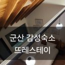 뜨레 향 | 군산 감성숙소 '뜨레스테이' due 2호실 편백향이 가득한 숙소 후기
