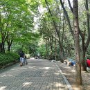 서울 대공원 캠핑장과 꽃과 동물 이미지