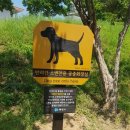 연대 공중화장실 이미지