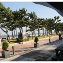 놀자대게 이미지