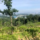 나실목장 이미지