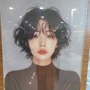 베스킨라빈스송탄점 네이버블로그