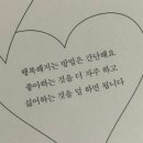 홍대화덕피자 네이버블로그