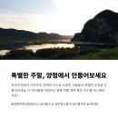 용문산농산물마켓