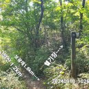 대성초삼거리 이미지