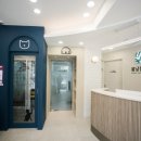 봄날동물병원 네이버블로그