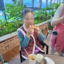 나비포차 이미지