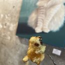 카페마들렌