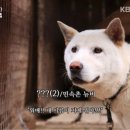 더푸르개 이미지