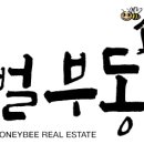 주식회사꿀벌부동산중개법인 이미지