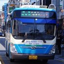 일광1리 이미지