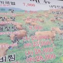 토담 가마솥 소고기 국밥 이미지