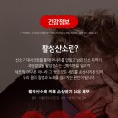 스몰윈도우스쿠알렌 - 목포시 청호로 116 | 스몰윈도우스쿠알렌