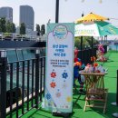 페리카나치킨신부체인점 루리웹게임뉴스