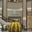 온더플레이트 | 솔로지옥 천국도 온 더 플레이트 뷔페 후기