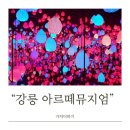 강릉 아르떼뮤지엄 핑크문 페스타 미디어아트 감상후기