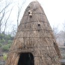 제주시절 이미지