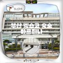 해강중학교 | 부산 아르피나 호텔 벡스코 가성비 숙소 추천 트리플룸 예약 내돈내산