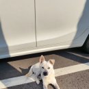 서동로29길 티스토리