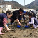 탑포어촌체험휴양마을 이미지