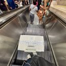 41190-01-07-312 | 리스본 여행 2편 ~ 포르투 여행 | 유럽 한달살기 기록 EP11