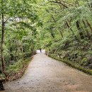 문동휴양지 이미지