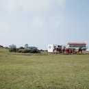 서빈백사해수욕장 이미지