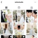 [Wedding 11] : 엘타워 원판스냅 소호스튜디오 계약 후기