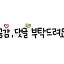 동강아름캠프 이미지