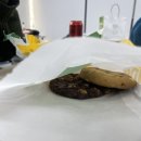 (주)바이오덴트 하단점 | [바이오 실무 교육 6주차] protein purification, quantification