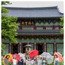 7월19일(토) 속리산 세조길&amp;도자기정원 카페-미드지기님 이미지