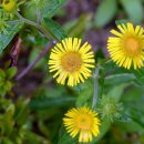 다대초등학교 이미지