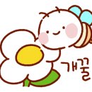 사나레 네이버블로그