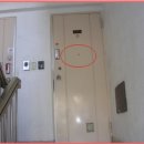 삭주로2 네이버블로그