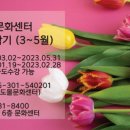 몰체험센터
