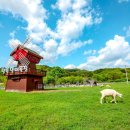 청운목장 이미지