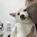 호수미용타운
