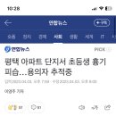 평택 아파트 단지서 초등생 흉기 피습… 용의자 추적중 이미지