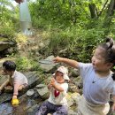 7월 3주 생태체험(매미소리듣기,개미집발견, 첨벙첨벙 물놀이, 송사리.소금쟁이 관찰,악기놀이,꼭꼭숨어라, 나뭇잎관찰, 책놀이,공놀이) 이미지