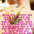 [서부] 스마트폰 고수되기 이미지