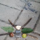 별나라유치원 이미지