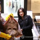 흑산홍어백화점 연합뉴스