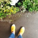 준오농장 이미지