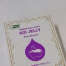 홀리퓨어 | 푸딩젤리탕 배스파우더✧코이젤리 퓨어드림 후기