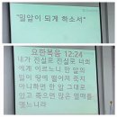 오순절 후 스물한 번째 주일(녹색) 이미지