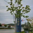 낭백의 말 이미지