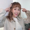 코요테야식