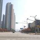 일산공인중개사사무소 이미지