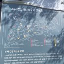 합덕소풍농장 | 예산 가볼만한곳 | 추사고택 수선화+벚꽃 포토존(백설농부 카페)